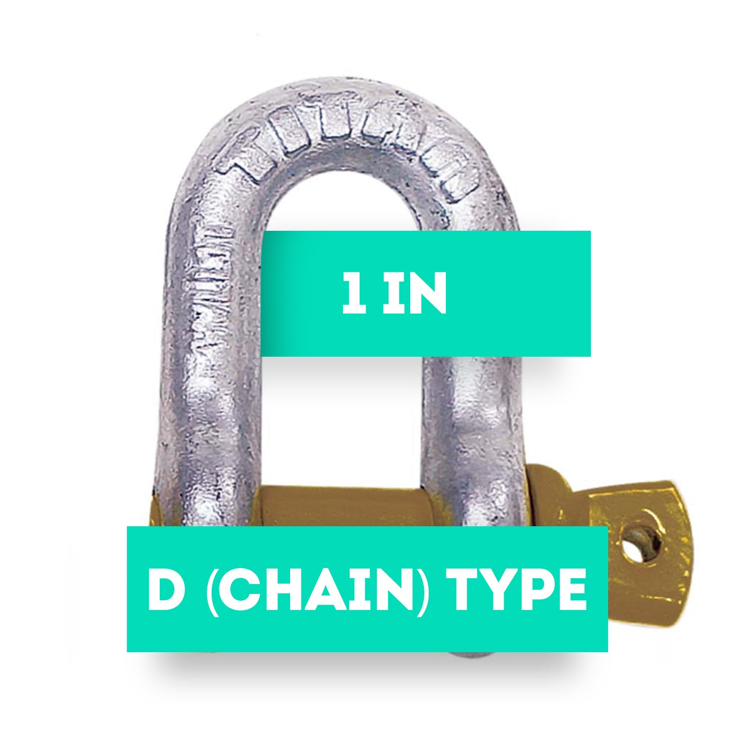 Titan 1in Screw Pin HDG Chain Type Shackle