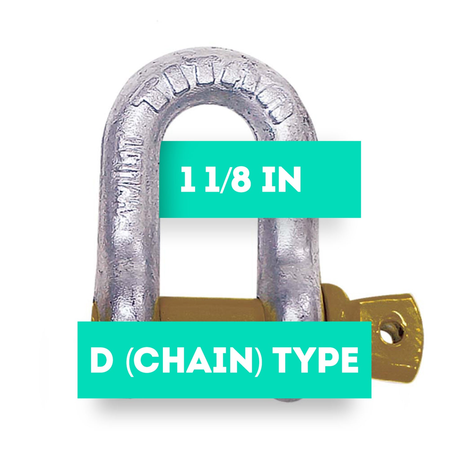 Titan 1 1/8in Screw Pin HDG Chain Type Shackle